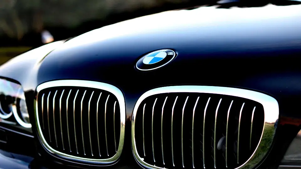BMW kidney grille and bonnet badge