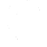gogle ping logo