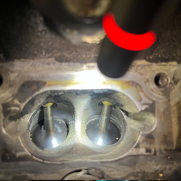 walnut blasting after